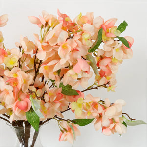 Coral blush orchard blossom branch