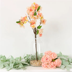 Coral blush orchard blossom branch