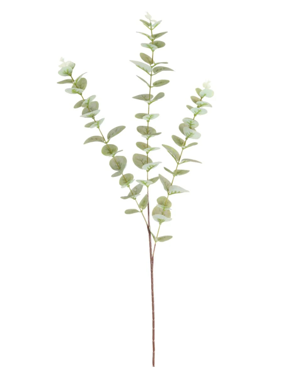 Printed eucalyptus spray (Natural green)