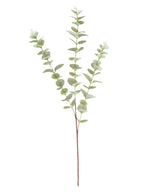 Printed eucalyptus spray (Natural green)