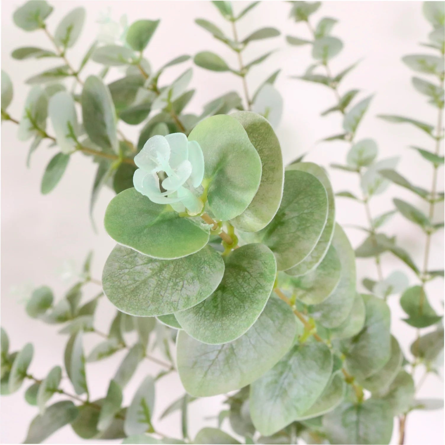 Printed eucalyptus spray (Natural green)