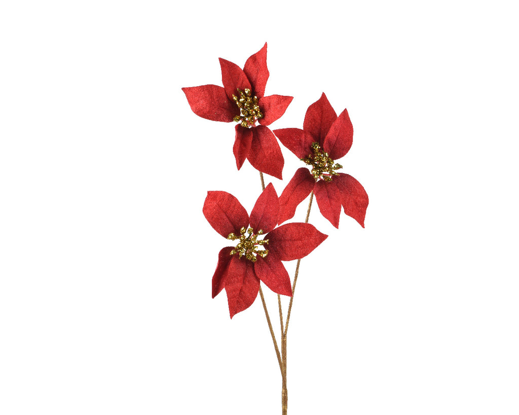 Christmas red poinsettia with gold glitter centre