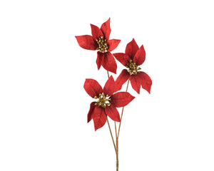 Christmas red poinsettia with gold glitter centre