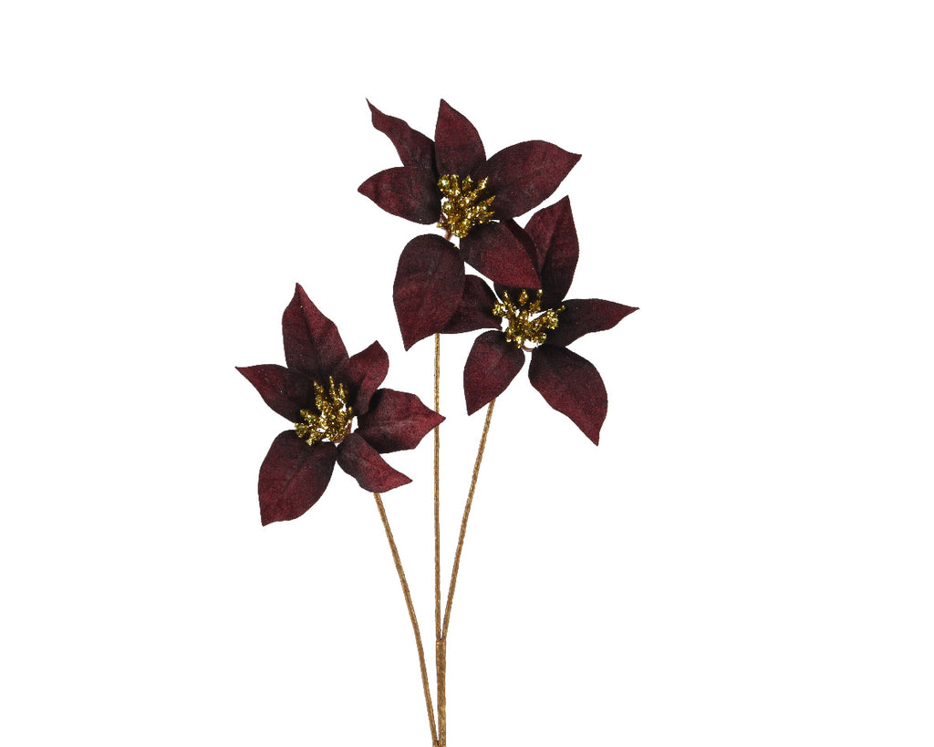 Poinsettia Burgundy with Gold Glitter Centre