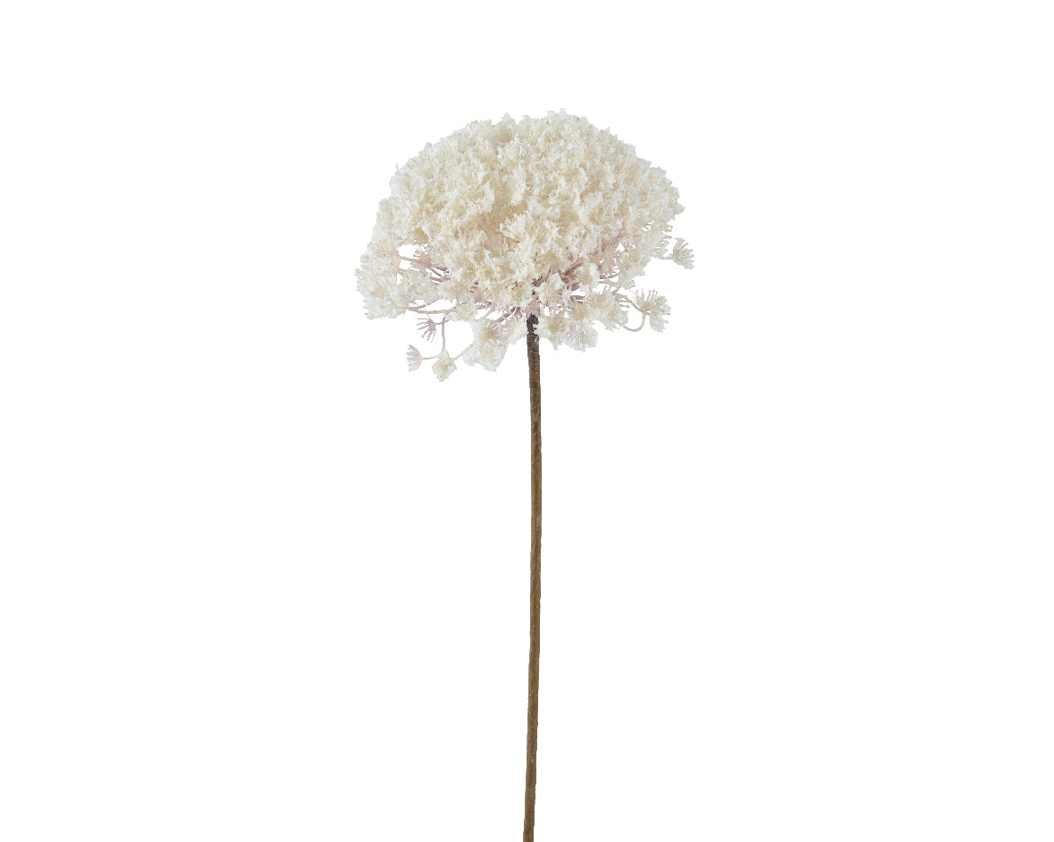 Queen Ann Stem with a Snow Finish