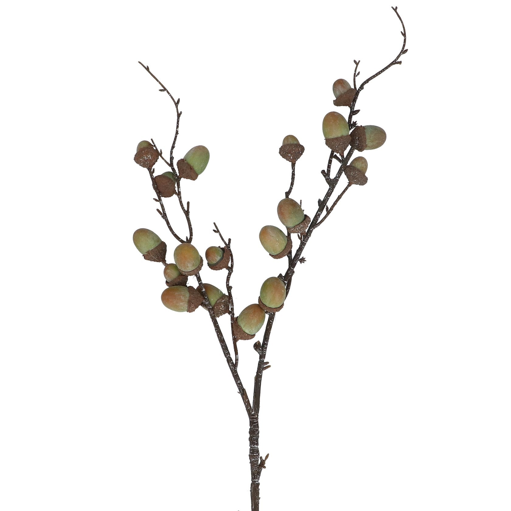 Acorn spray