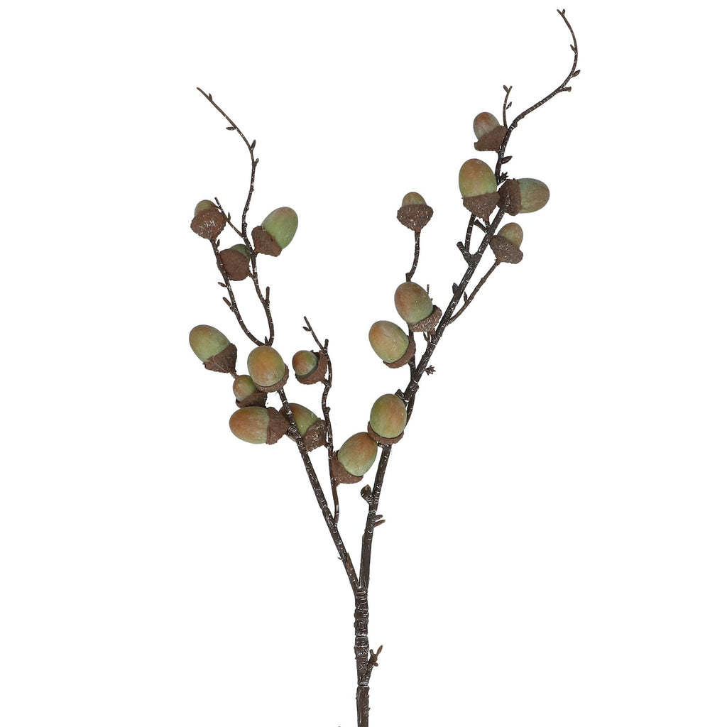 Acorn spray