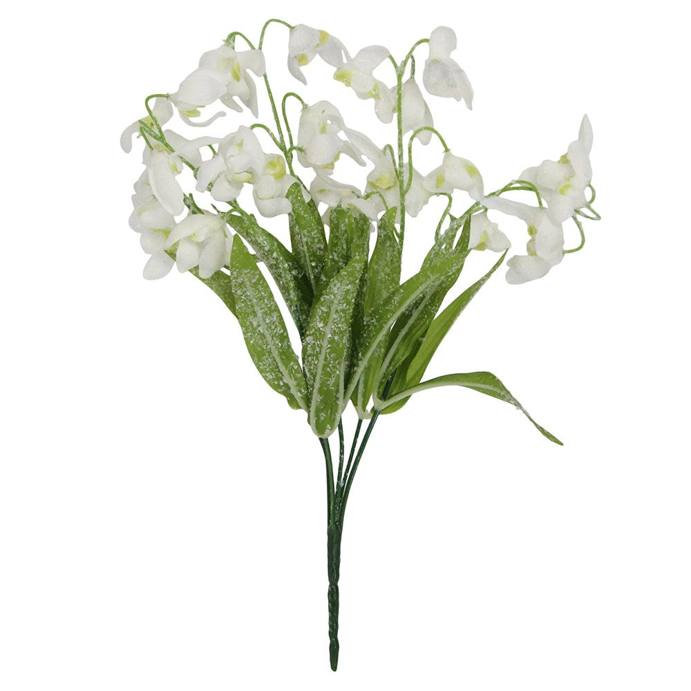 Snowy snowdrop bunch