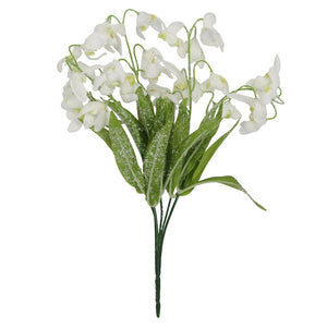 Snowy snowdrop bunch