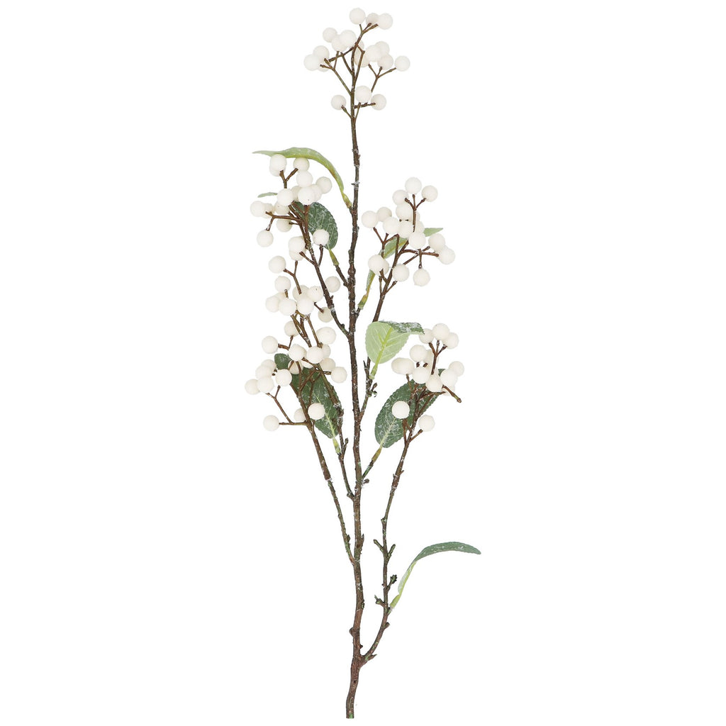 Snowberries with foliage spray