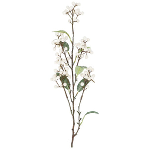 Snowberries with foliage spray