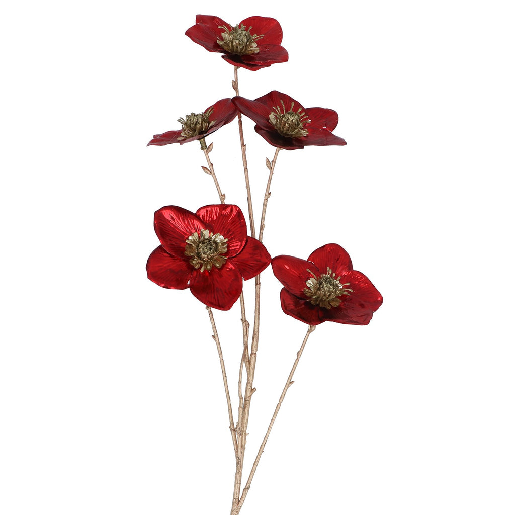Red foil hellebore spray