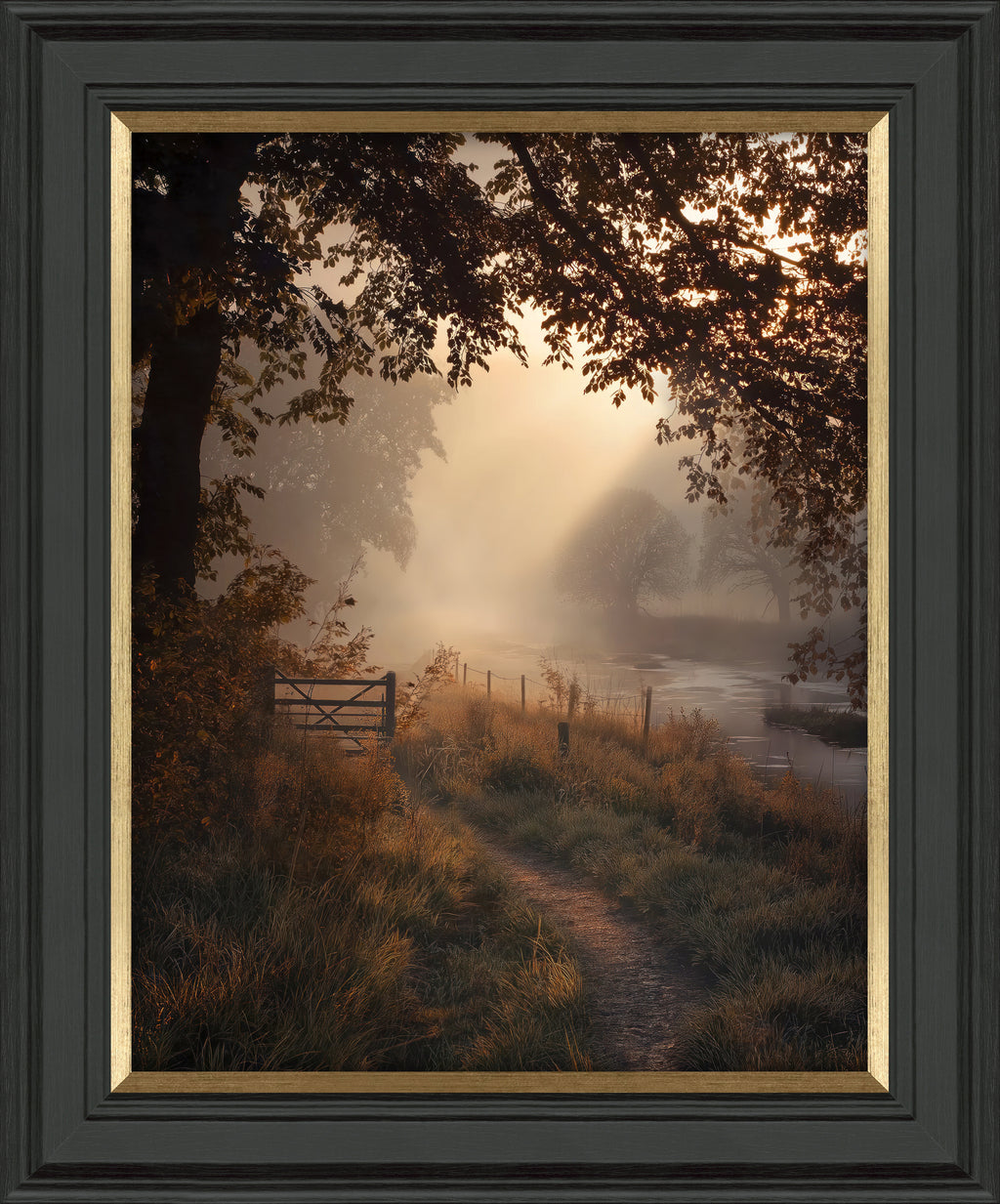 Falling Light l by M Torelli