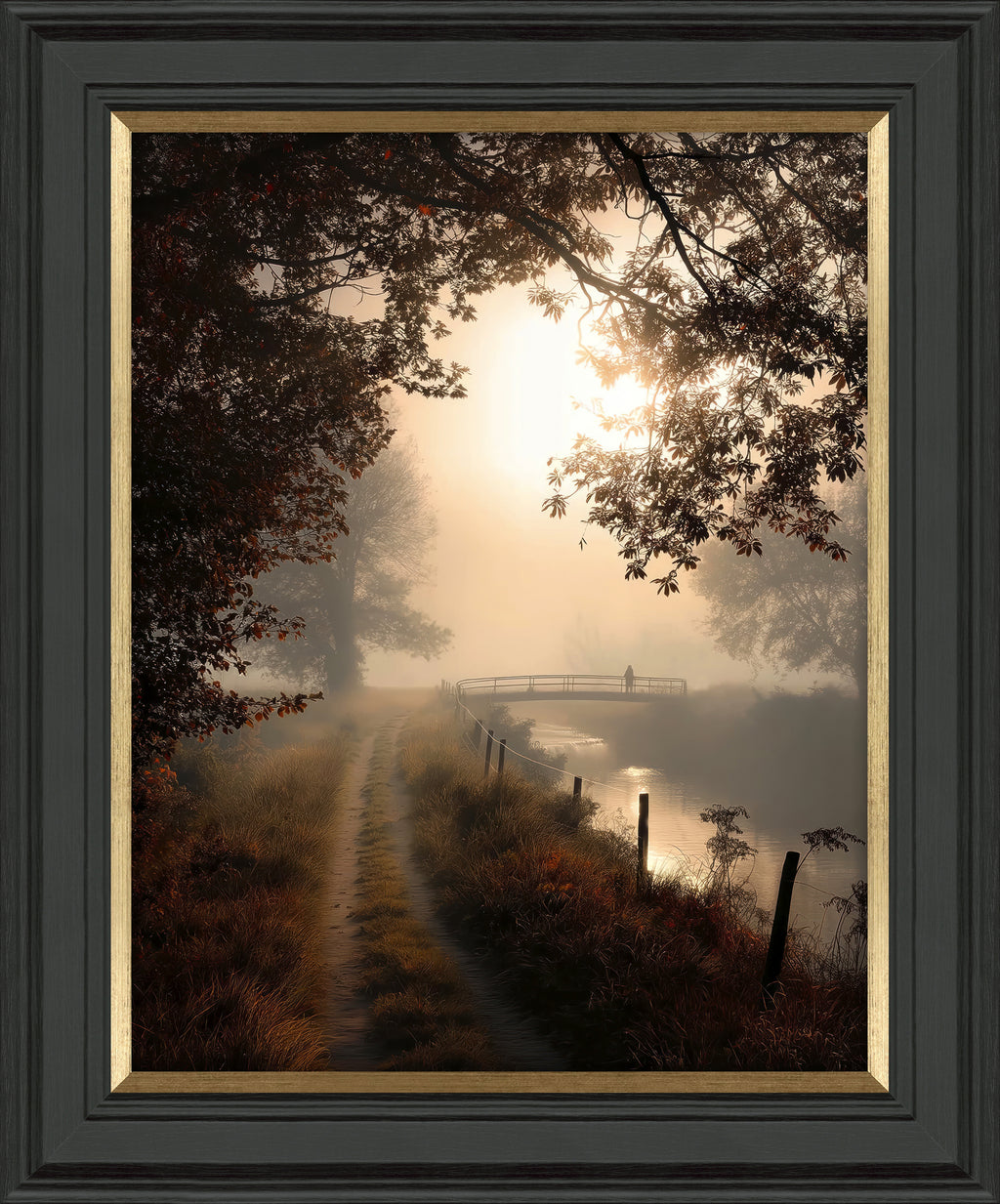 Falling Light II by M Torelli