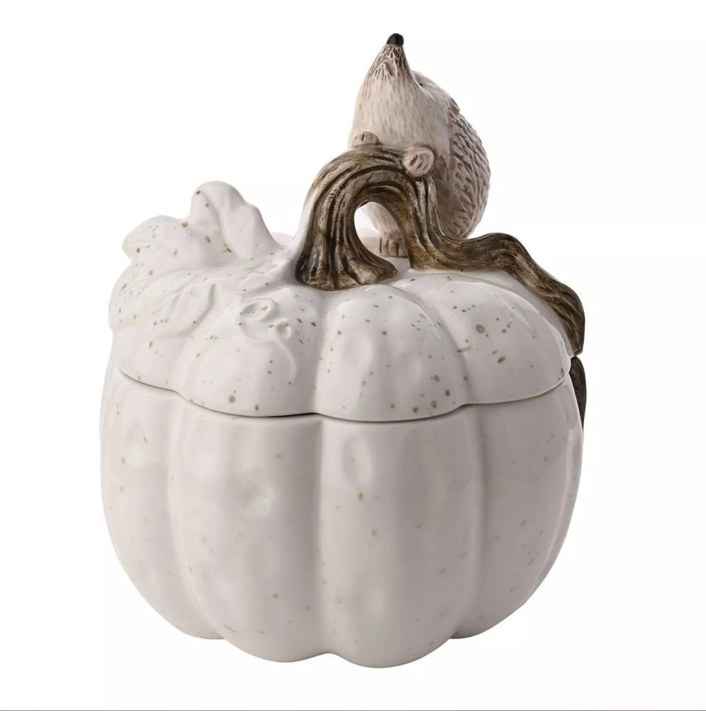 Country Living hedgehog storage pot