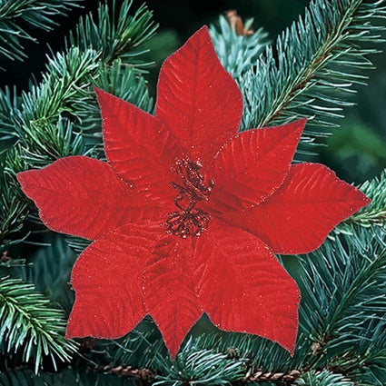 25cm red velvet poinsettia flower clip on