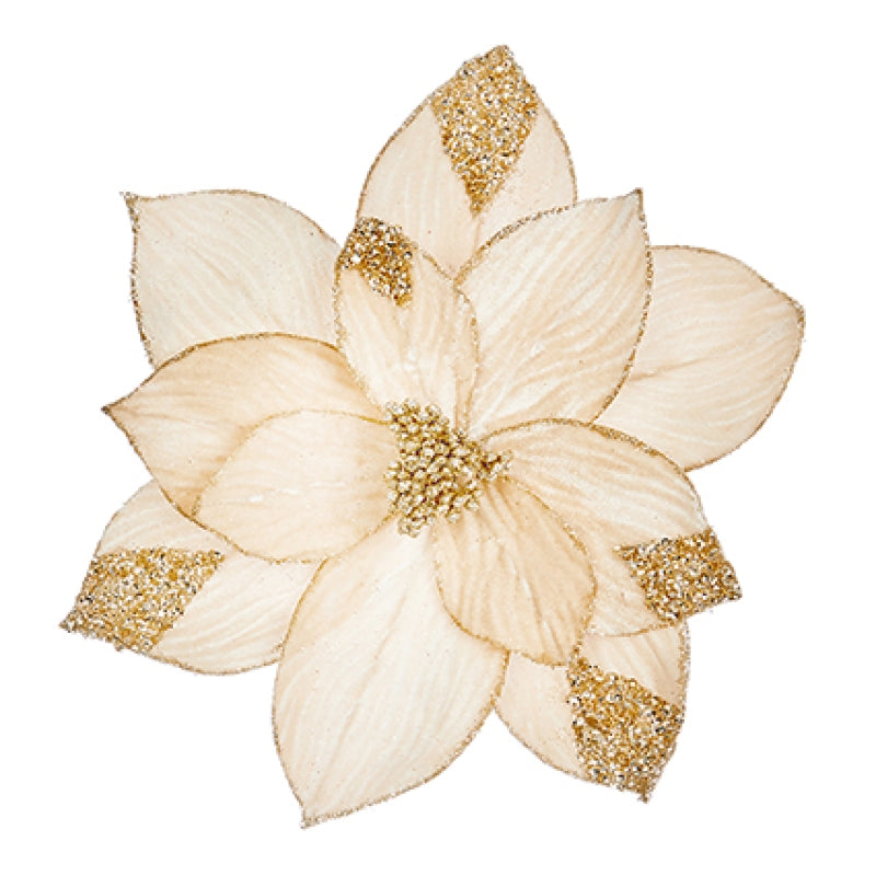 Champagne gold velvet poinsettia with gold sequins clip on