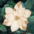 Champagne gold velvet poinsettia with gold sequins clip on