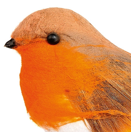 Christmas robin on clip