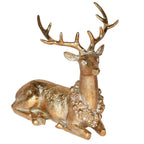 Gold collared laying reindeer