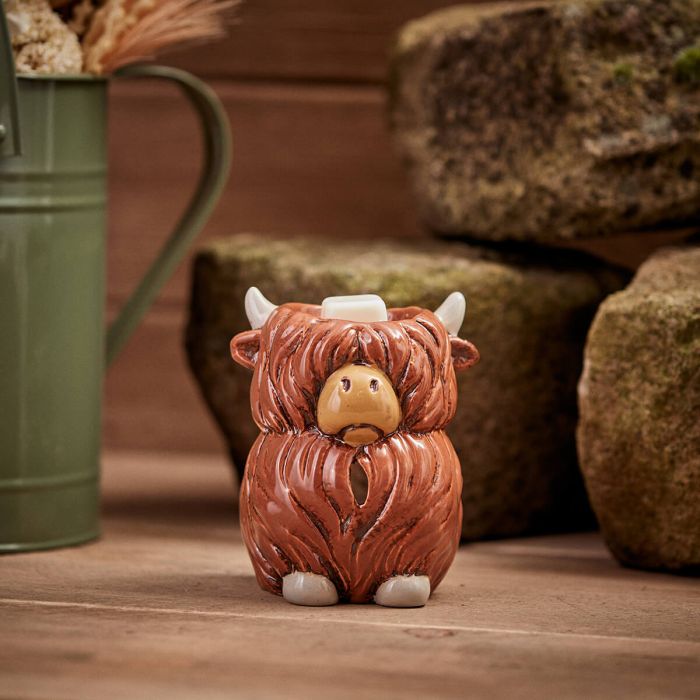 Dougal Highland cow wax burner