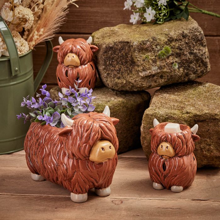 Dougal Highland cow wax burner