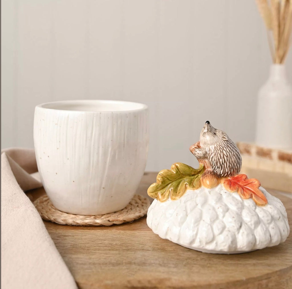 Hedgehog on an acorn storage jar