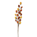 Acorns spray