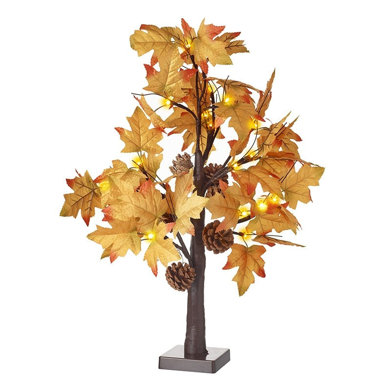 Autumn leaf light up tree