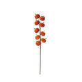 Orange velvet pumpkin stem