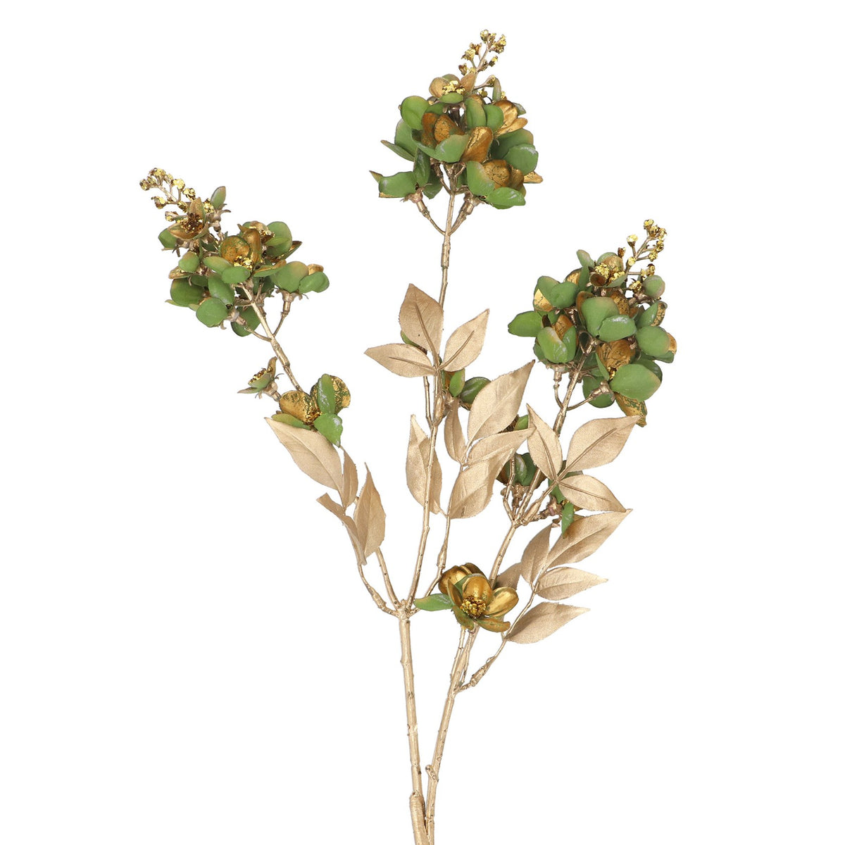 Green/gold seeded hydrangea