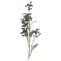 Blueberries with foliage spray