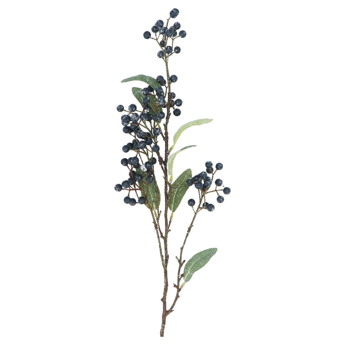 Blueberries with foliage spray
