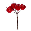 Shiny red apple pick bunch