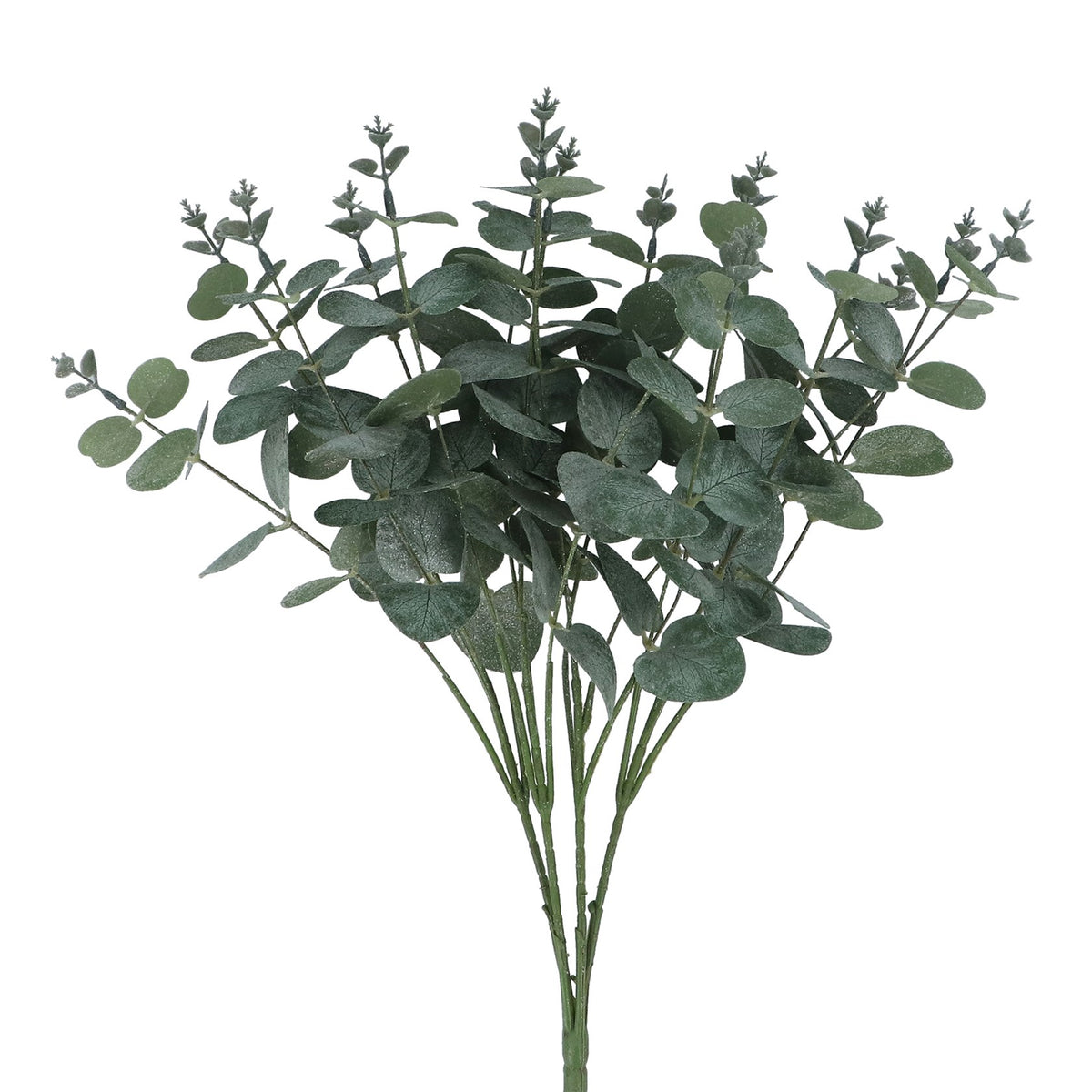 Eucalyptus glitter bunch