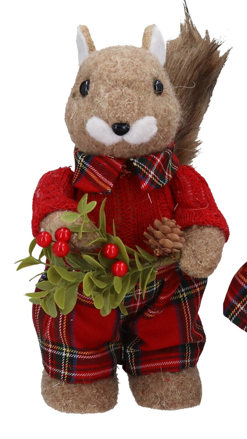 Mr/Mrs Squirrel with tartan clothing