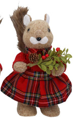 Mr/Mrs Squirrel with tartan clothing
