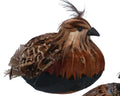 Feather sitting partridge ornament