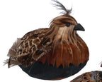 Feather sitting partridge ornament
