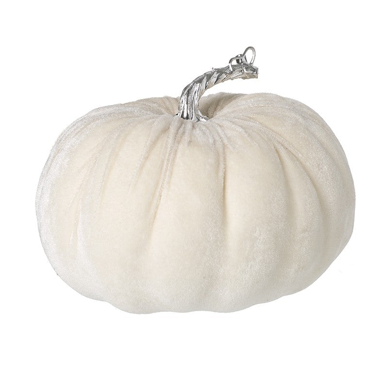White velvet pumpkin