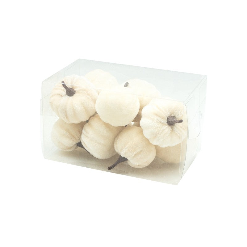 Box of mini velvet white pumpkins