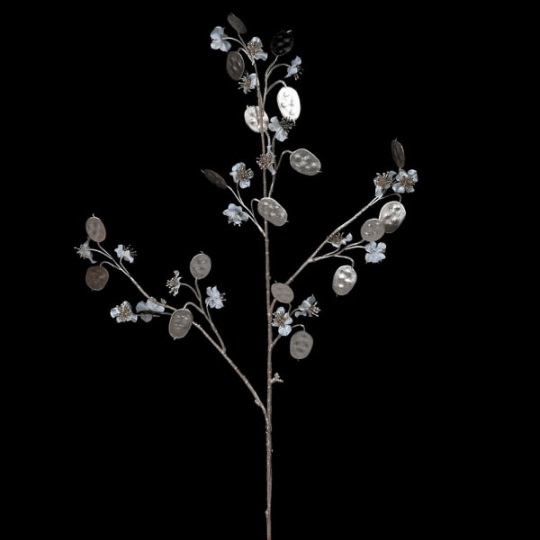 Ivory Lunaria honesty stem