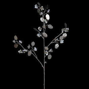 Ivory Lunaria honesty stem