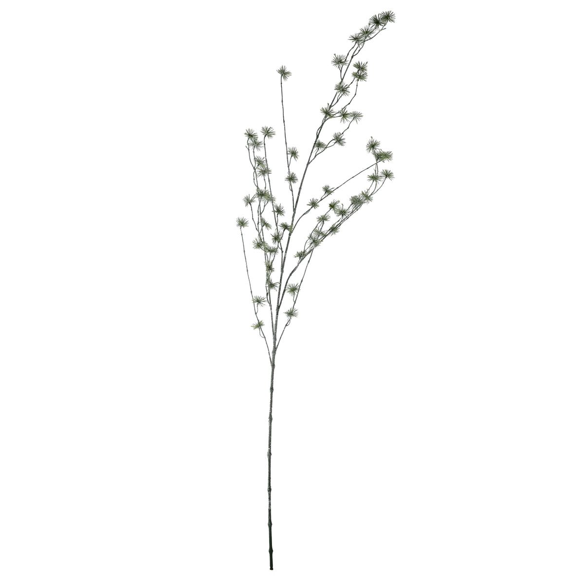 Ming pine spray - green