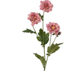 Pink toned chrysanthemum spray