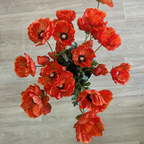 Poppy Spray