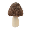 Standing Mushrooms