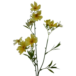 58cm Linum Spray - Four Colours