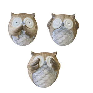 Speak, Hear and See No Evil Owls