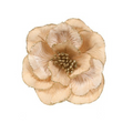 Champagne gold clip on dahlia